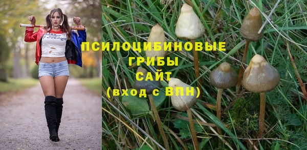 герыч Горнозаводск