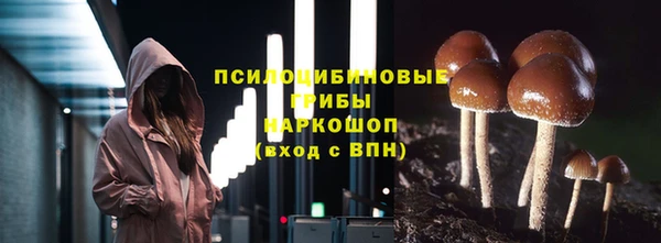 спиды Горняк