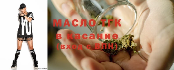 спиды Горняк