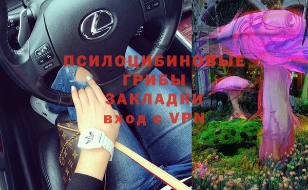 герыч Горнозаводск