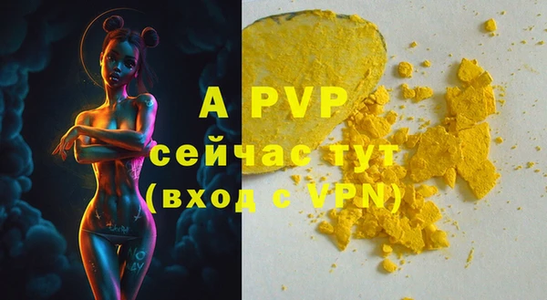 спиды Горняк