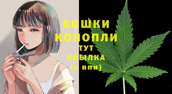 бутират Горно-Алтайск